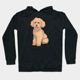 Apricot Toy Poodle Dog Hoodie